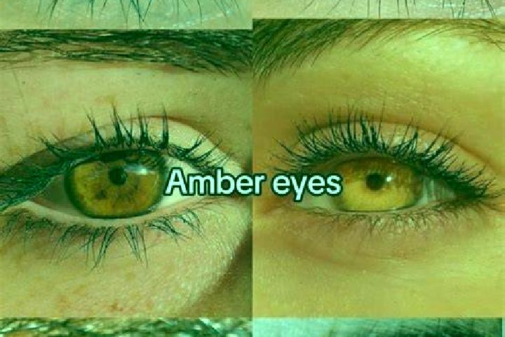 20 Dazzling Hot (EGT Digital) slot machine
