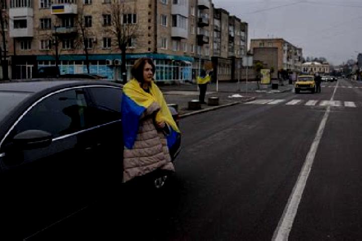 243 Clover Fruits slot