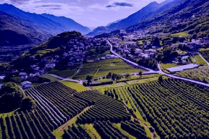 Captain Quids Treasure Quest slot