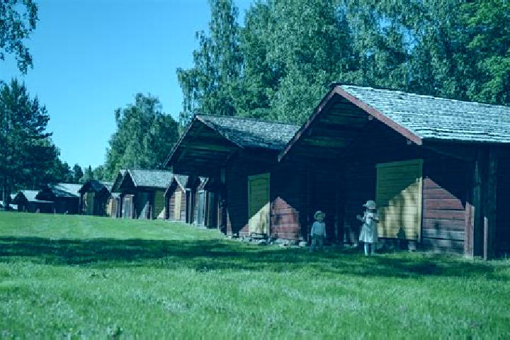 Crazy Sheep online slot