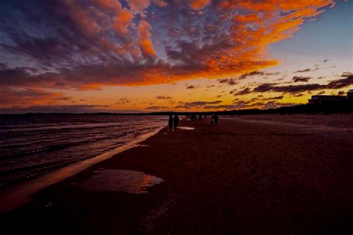 Dragon Tiger Live Casino (Ezugi) online slot