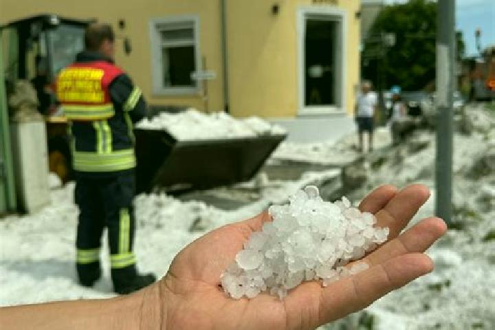 King Neptun slot machine