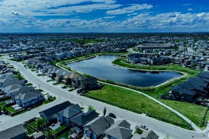 Lucky Leaves 9 Lines slot machine