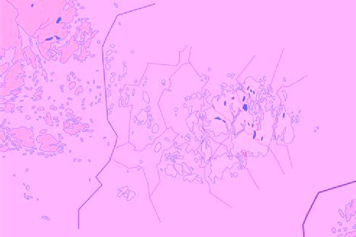 Neon Funk 40 online slot
