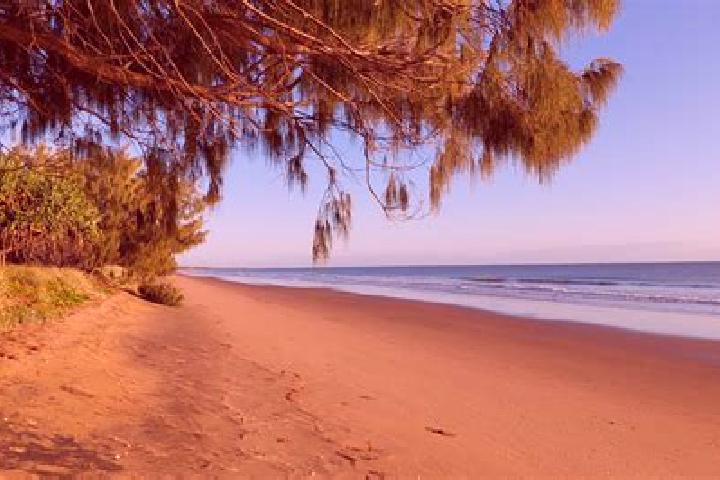 Prosperity Ox (Rectangle Games) slot game