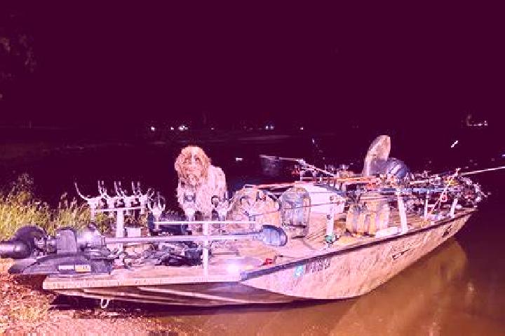 Spicy Meatballs slot
